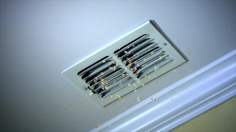 Best Best Air Duct Cleaning Company  in Atascocita, TX